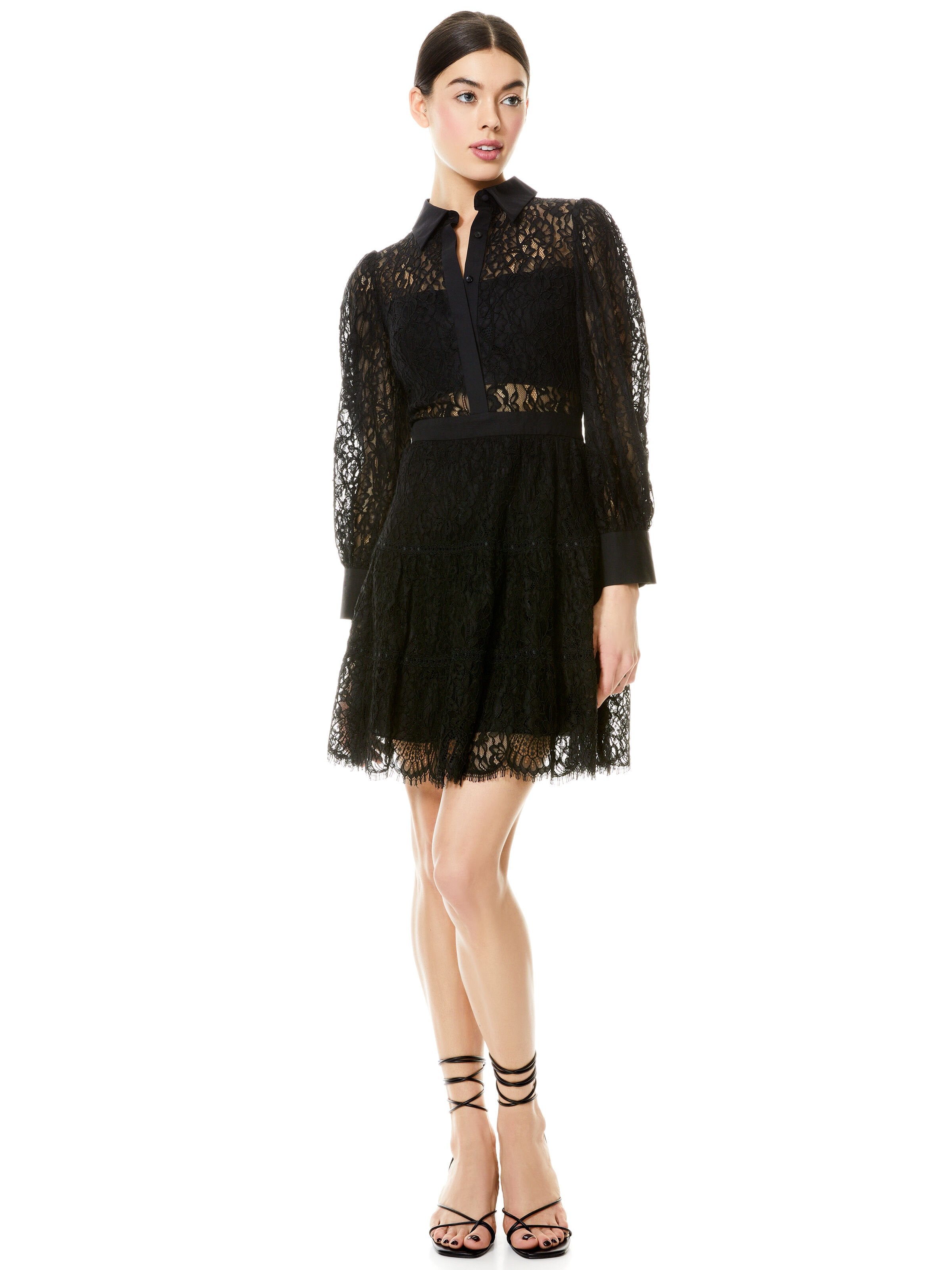 ANAYA COLLARED LACE MINI DRESS