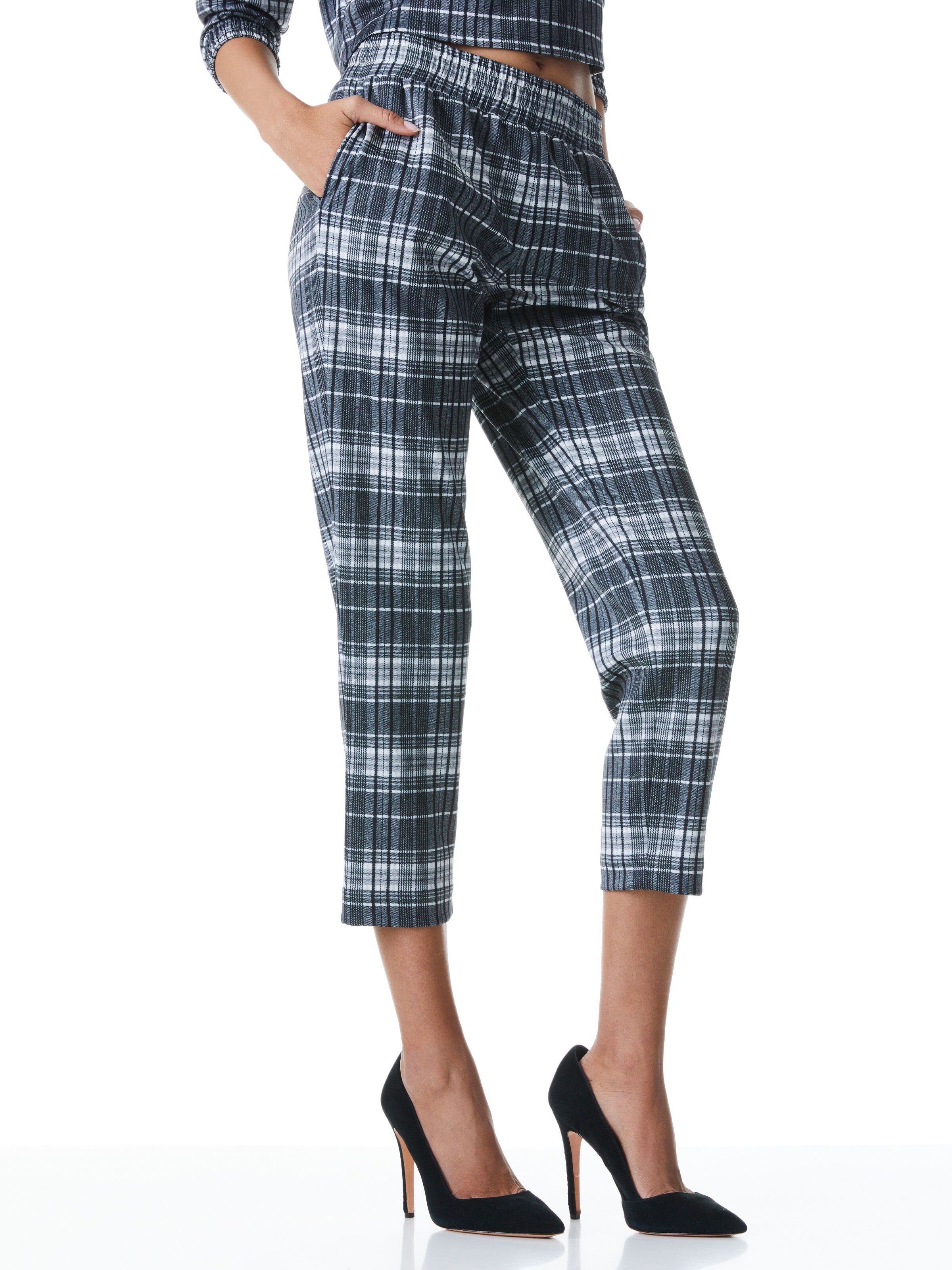 BENNY TAPERED PULL UP PANT