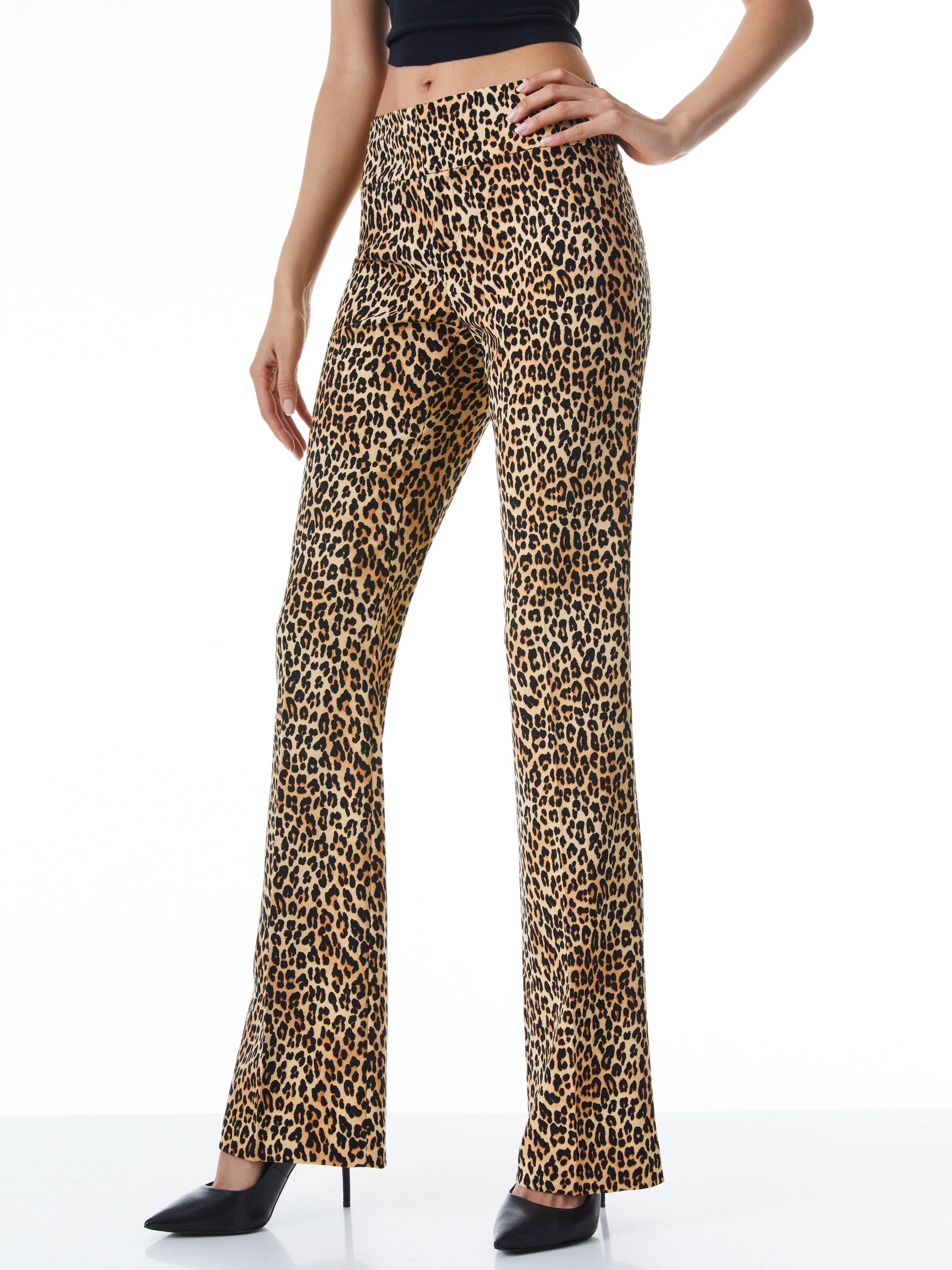 OLIVIA BOOTCUT PANT-Black-ALICE + OLIVIA