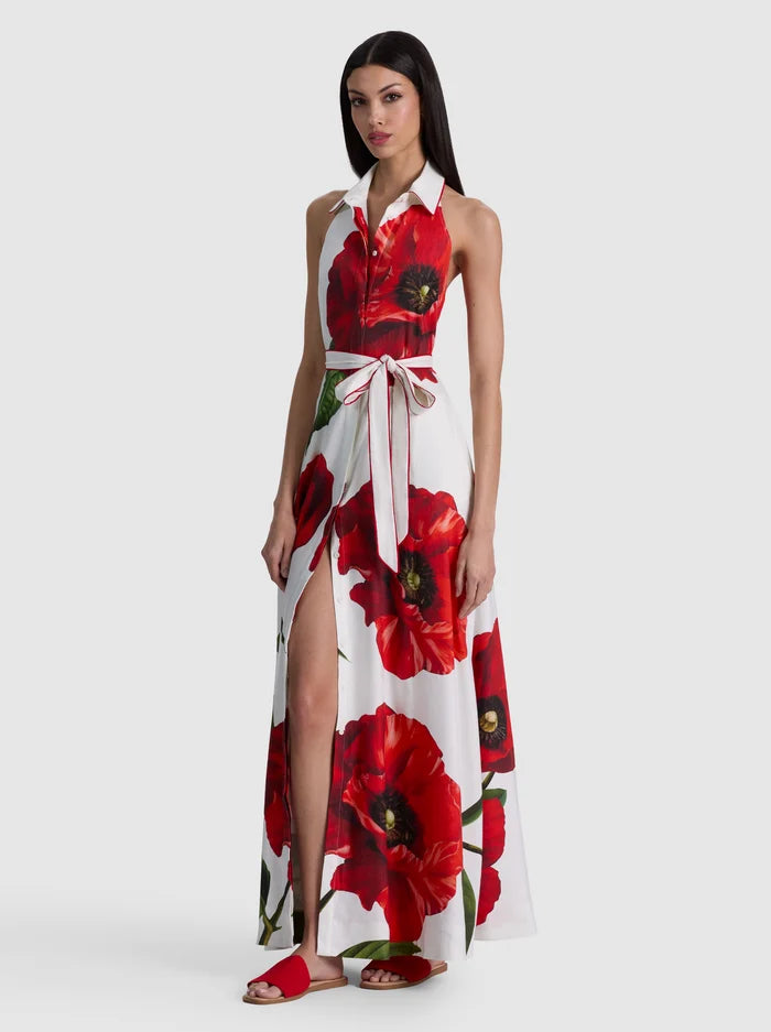 CHASSIDY HALTER MAXI DRESS - SUMMER POPPY