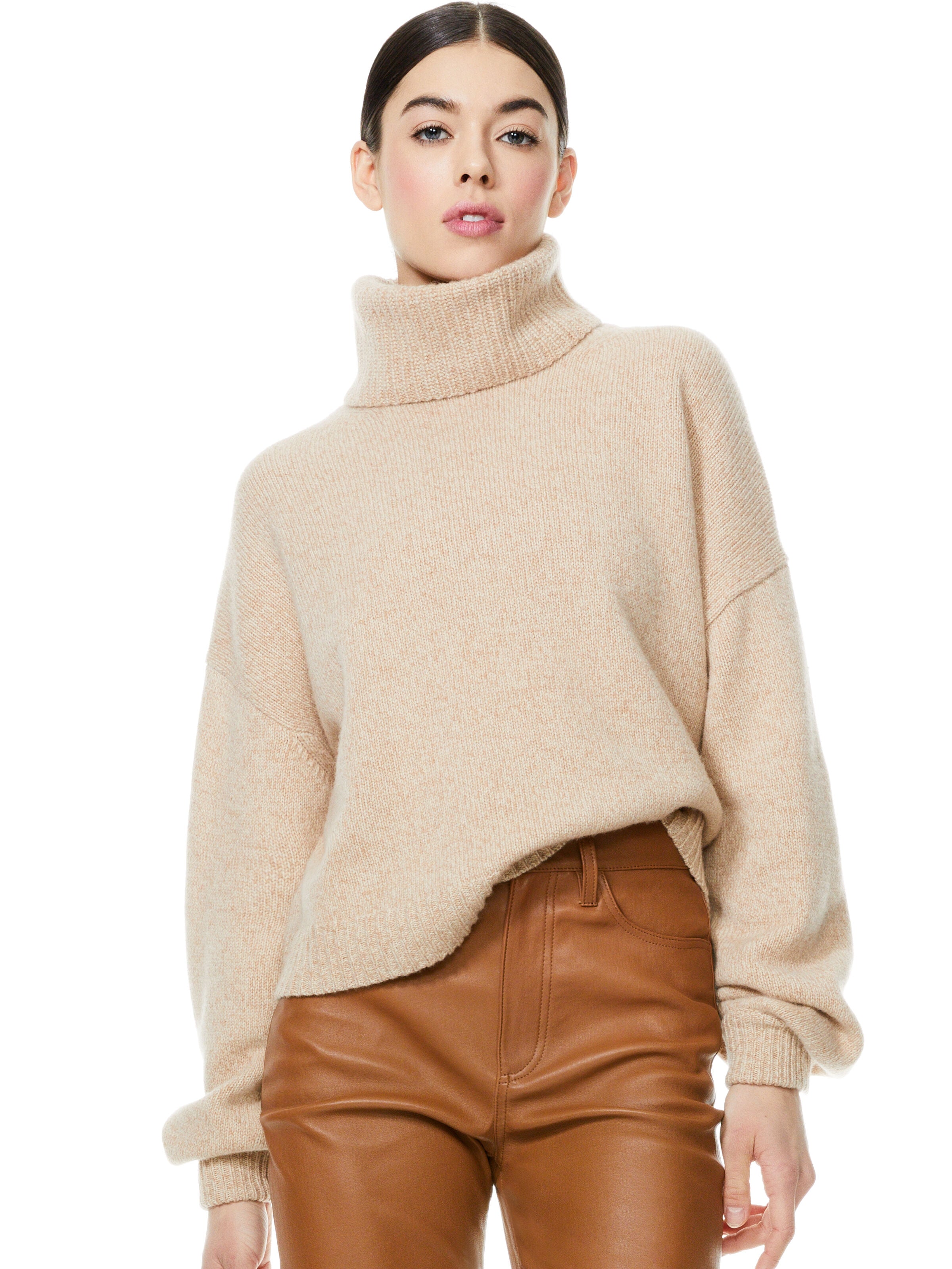 FRANKLYN TURTLENECK PULLOVER-NAVY MULTI-ALICE + OLIVIA