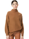 PULL COL ROULÉ CAPRICE-ALICE + OLIVIA