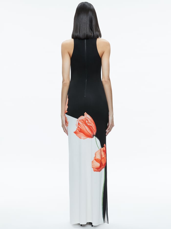 PANIA MAXI DRESS - DREAM LIFE BLACK image 2 - Alice And Olivia