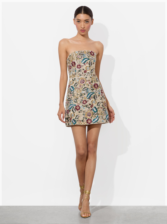 BISCOTTI/MULTI-VELIA EMBELLISHED MINI GOWN