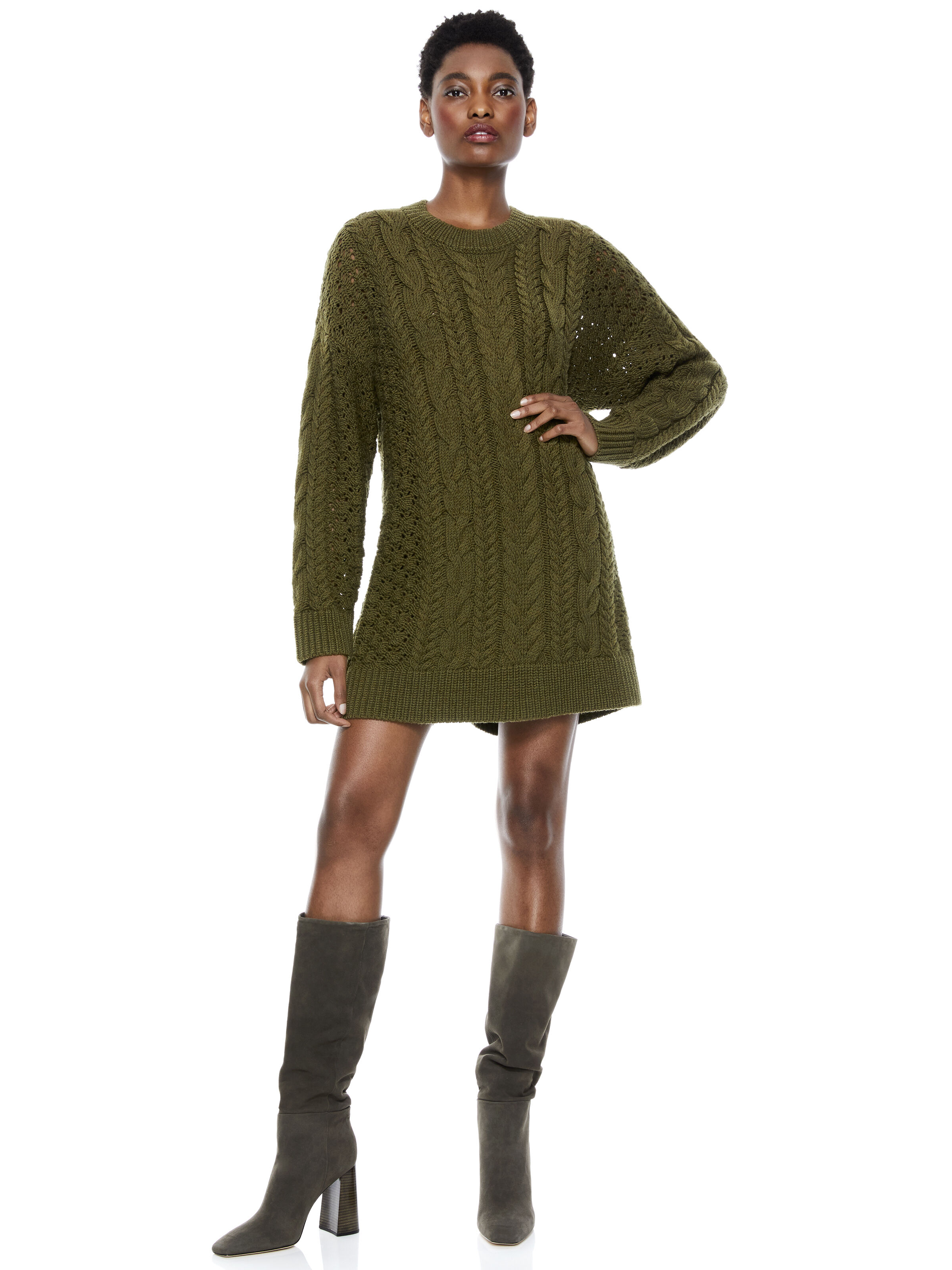 alice and olivia sweater dress