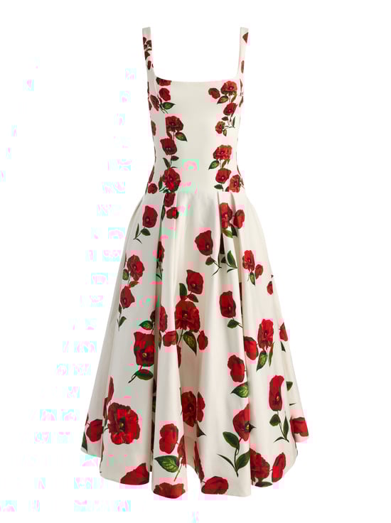 SUMMER POPPY-ADLEY DROP WAIST DRESS