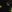  - DESERT SPRIGS BLACK
