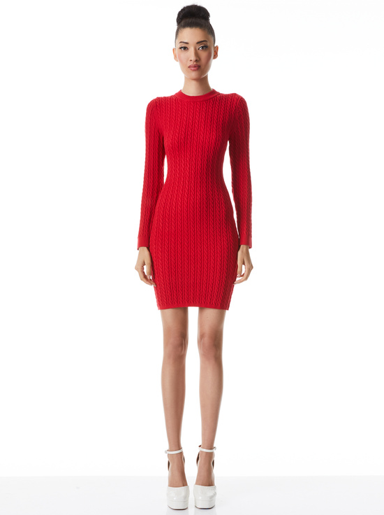 fitted lace wedding dress Red Olivia Mini Dress