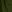  - DARK FERN