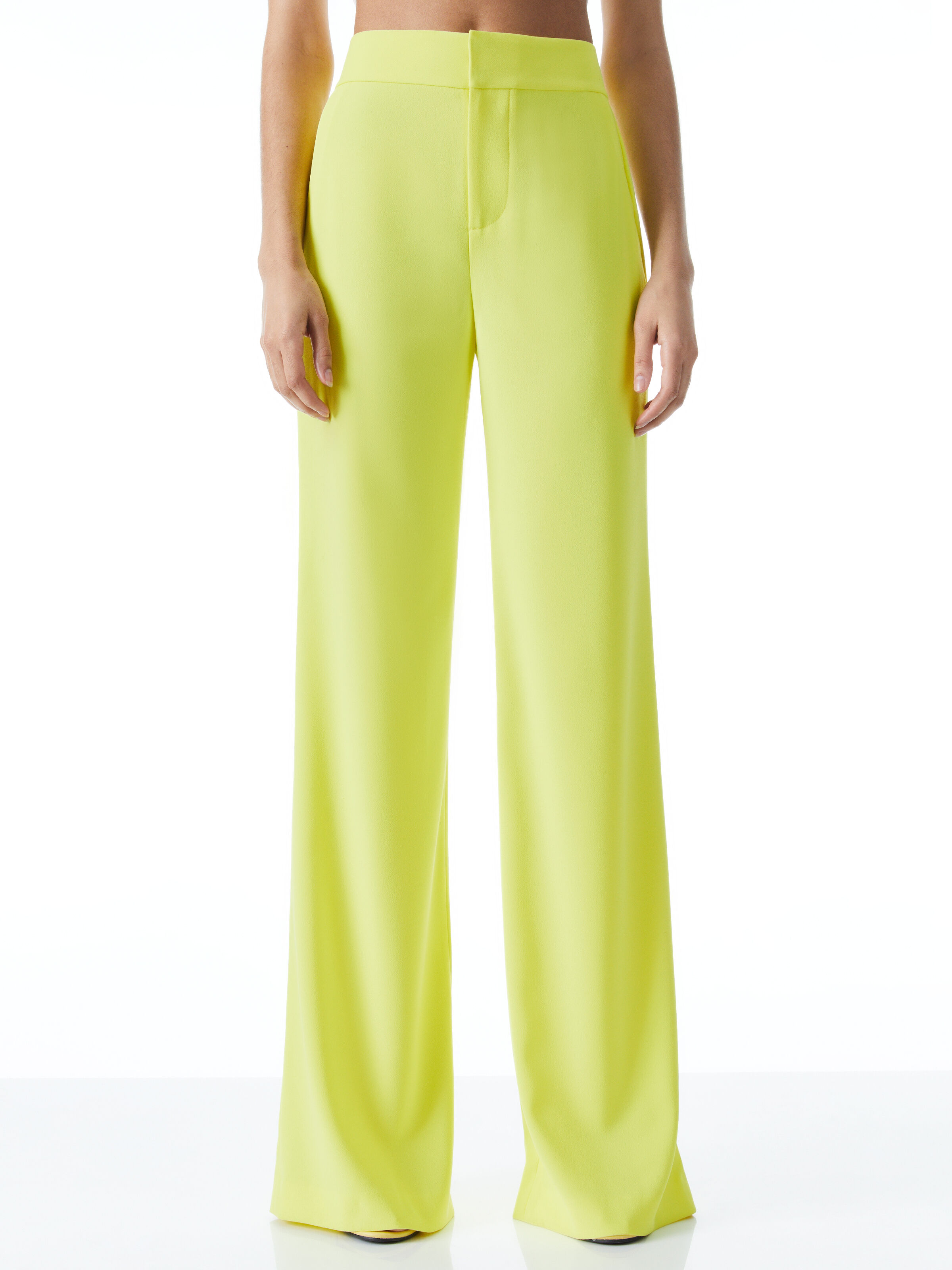 Alice and olivia high waisted pants hotsell