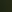  - DARK FERN