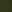  - DARK FERN