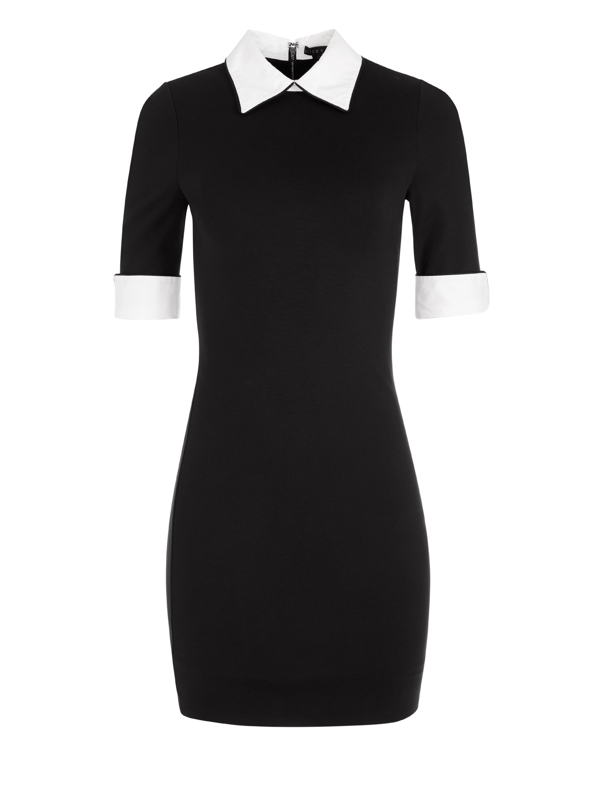 Delora Collared Mini Dress In Black/off White | Alice And Olivia