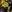  - DESERT SPRIGS BLACK