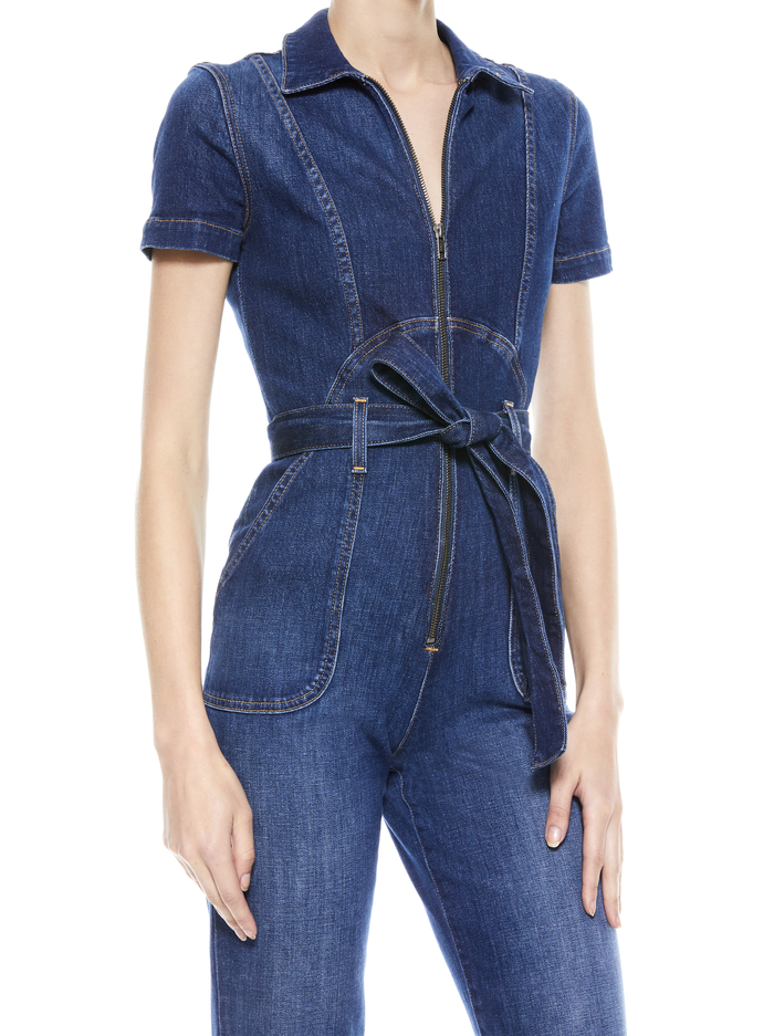 GORGEOUS WIDE LEG JUMPSUIT - LOVE TRAIN image 9 - Alice And Olivia