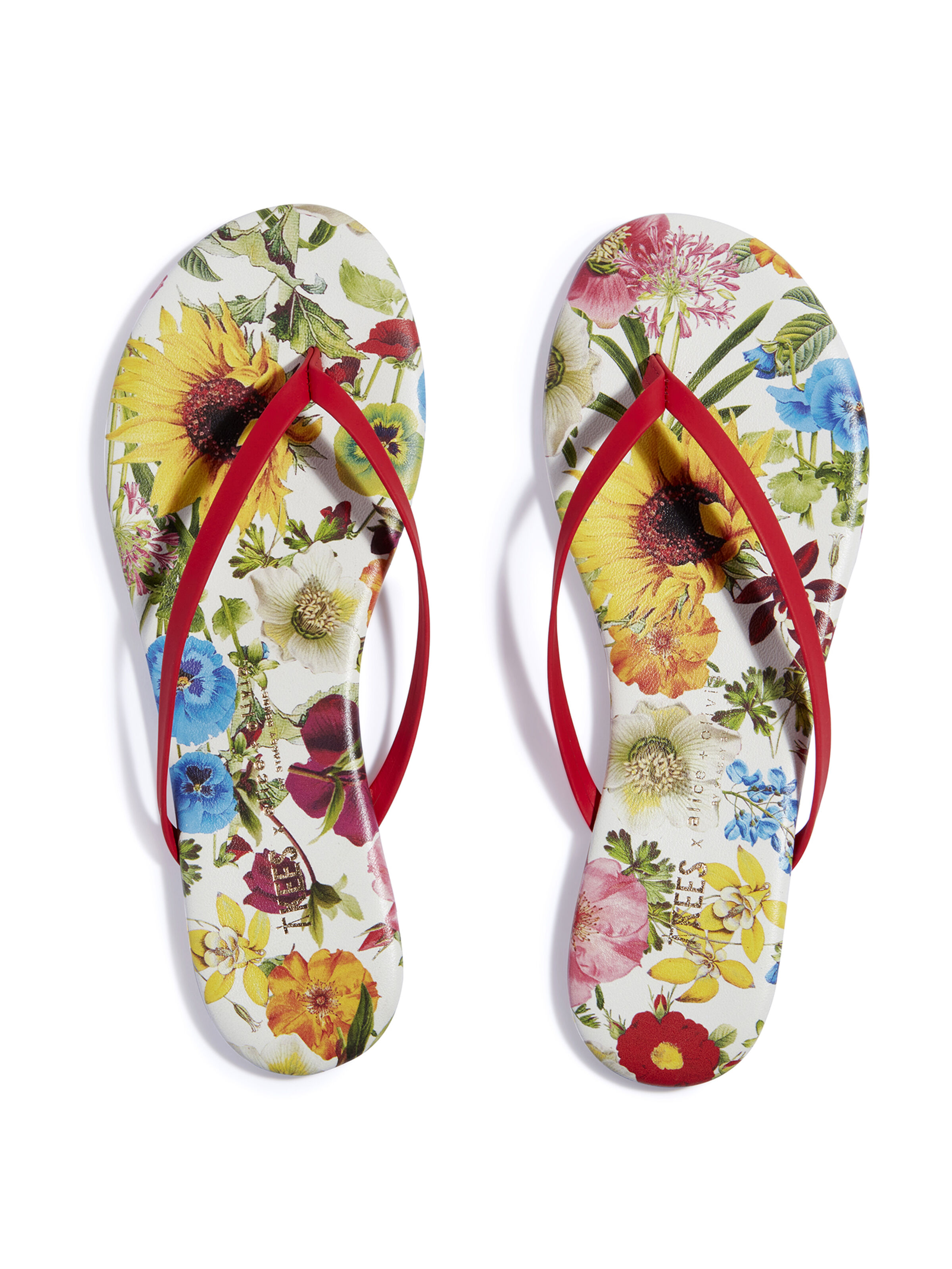 Alice and olivia discount flip flops