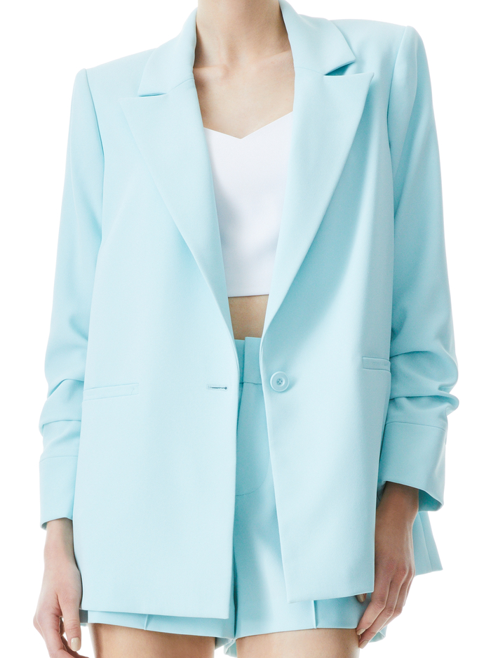 DENNY BOYFRIEND BLAZER - POWDER BLUE image 2 - Alice And Olivia