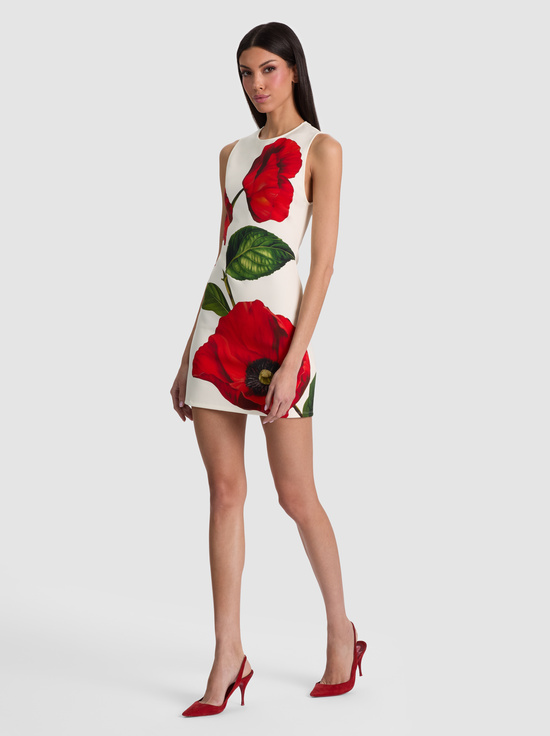 SUMMER POPPY-WYNELL FITTED MINI DRESS