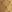  - PALE GOLD