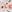  - MORNINGSIDE FLORAL WHITE