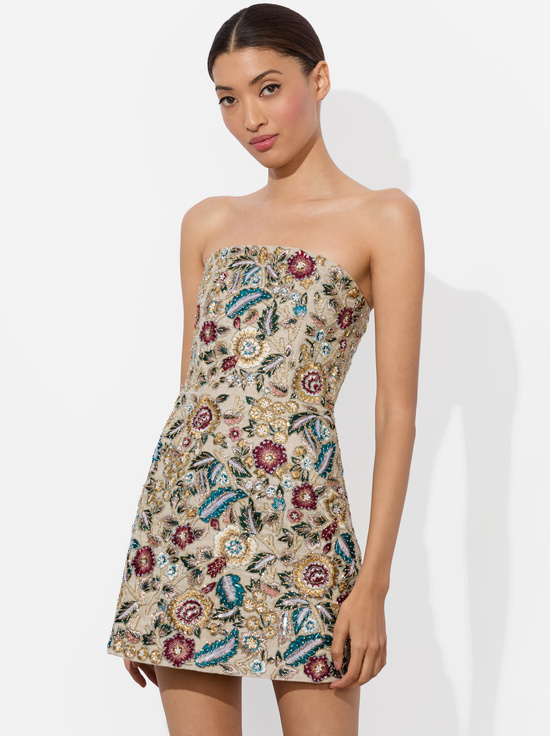 BISCOTTI/MULTI-VELIA EMBELLISHED MINI GOWN