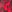  - PHILOSOPHY BRIGHT RUBY