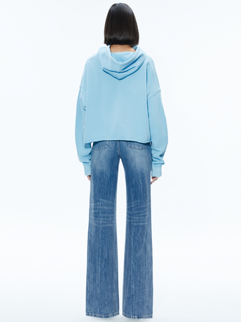 ICE-SUNNY BOXY CROPPED HOODIE
