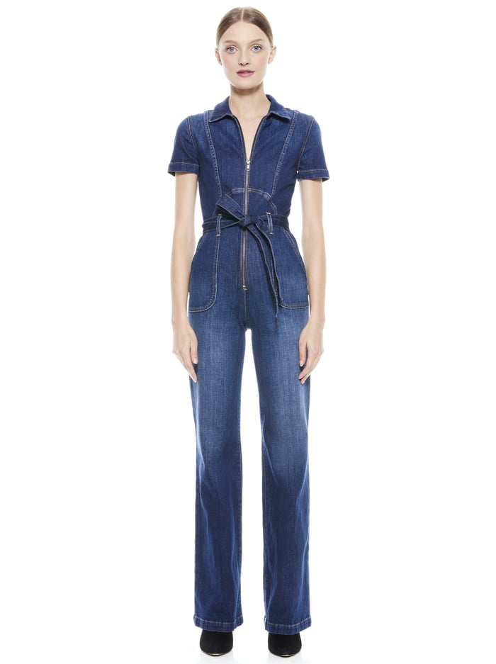 GORGEOUS WIDE LEG JUMPSUIT - LOVE TRAIN image 11 - Alice And Olivia