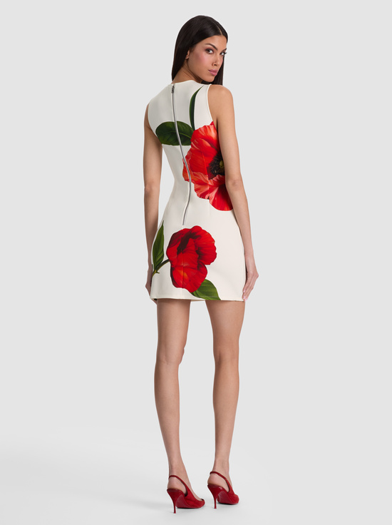 SUMMER POPPY-WYNELL FITTED MINI DRESS
