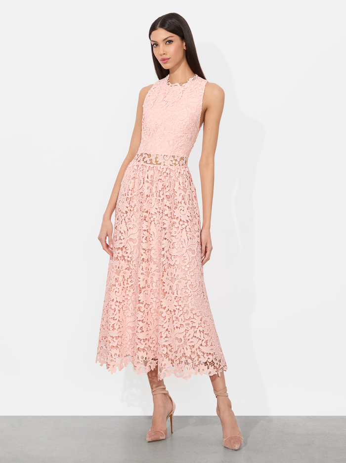 BABETTE MIDI DRESS - PINK BLOOM - Alice And Olivia