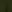  - DARK FERN