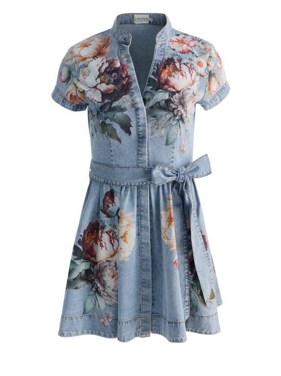 SIERRA VINTAGE/MULTI-LUCY MINI DENIM SHIRT DRESS