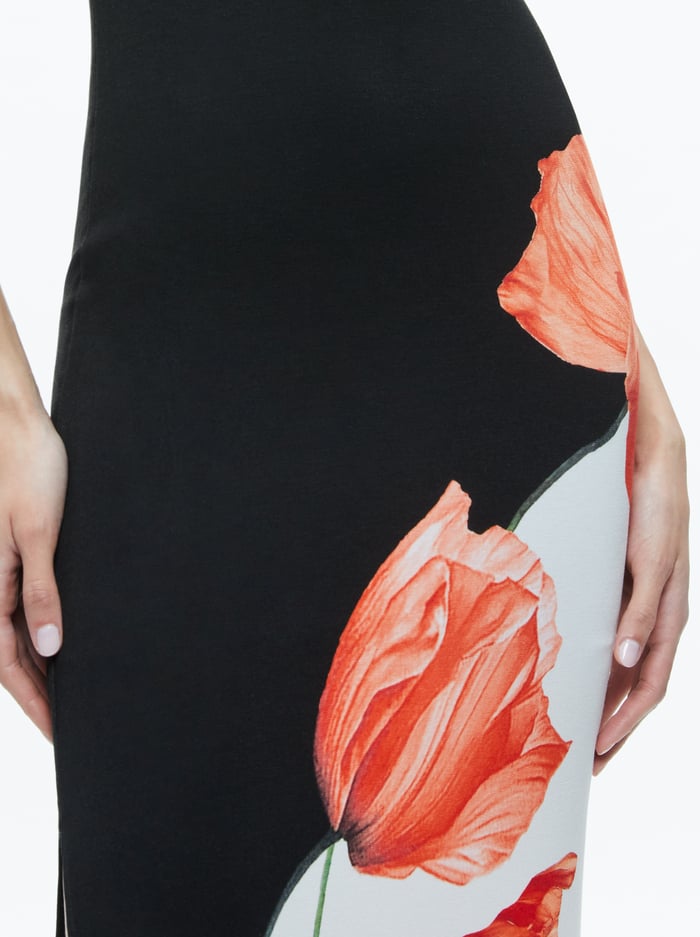 PANIA MAXI DRESS - DREAM LIFE BLACK image 1 - Alice And Olivia