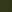  - DARK FERN