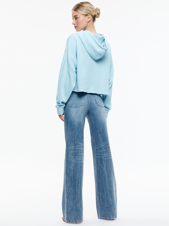 ICE-SUNNY BOXY CROPPED HOODIE