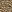  - TEXTURED LEOPARD
