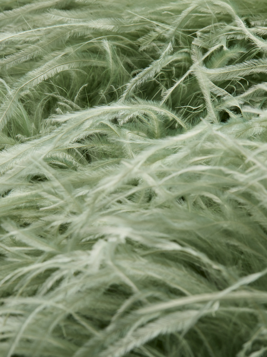 SAGE-CHANDA SHORT FEATHER VEST