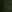  - DARK FERN