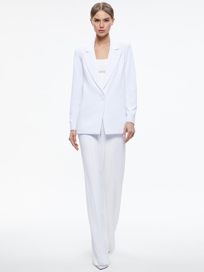 DENNY BLAZER + DYLAN PANT - 