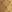  - PALE GOLD