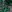  - DREAM FLORAL EMERALD