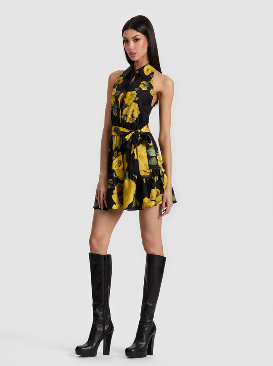 ROSEHIPS-MIRANDA MINI DRESS