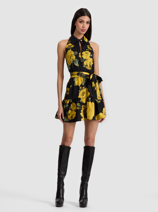 ROSEHIPS-MIRANDA MINI DRESS