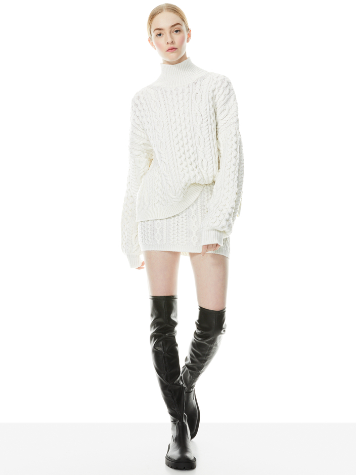 KENNY TURTLENECK PULLOVER + INGRID MINI SKIRT - 