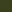  - OLIVE
