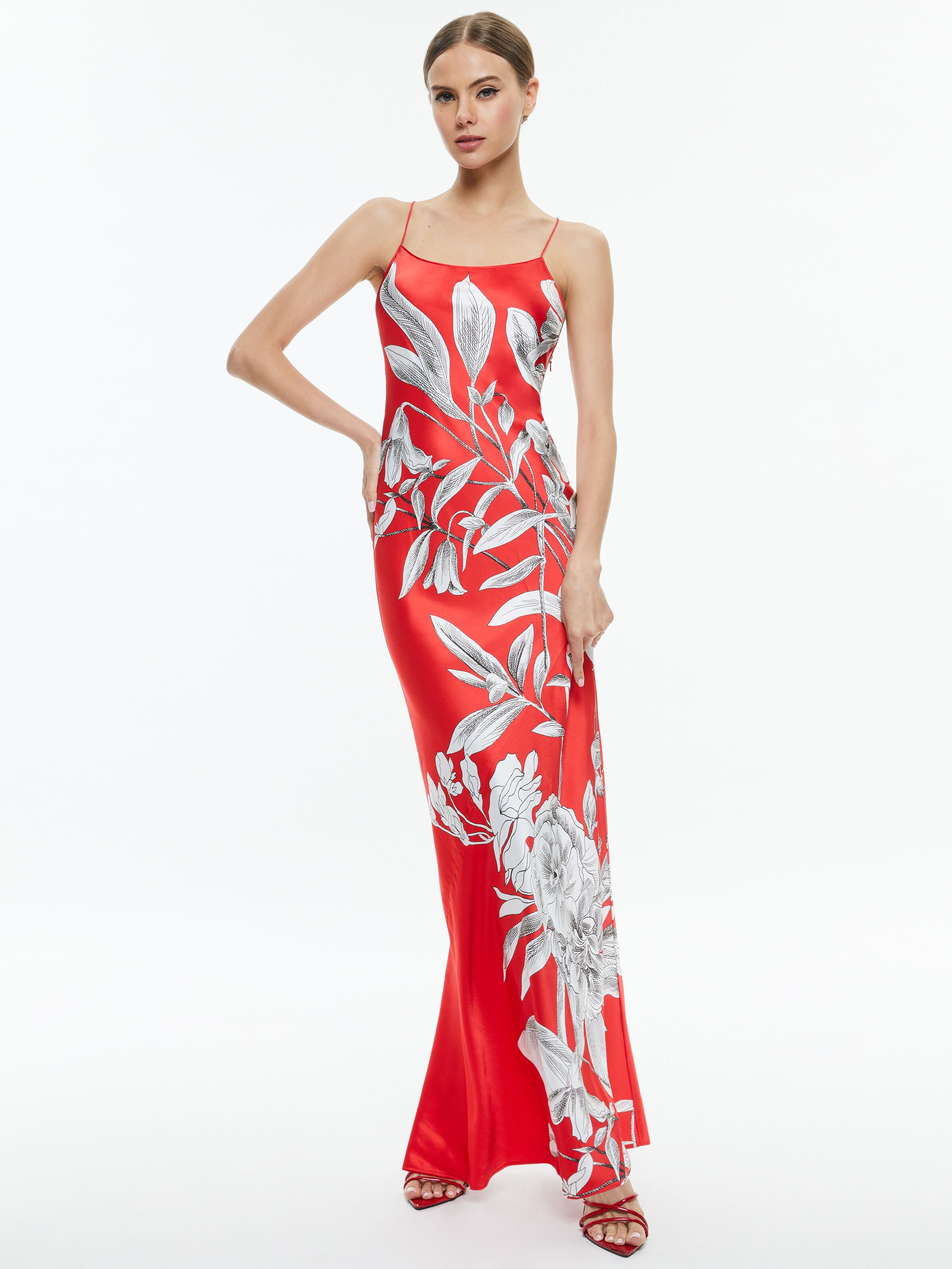 Paloma Cami Maxi Slip Dress In Drifting By Alice Olivia