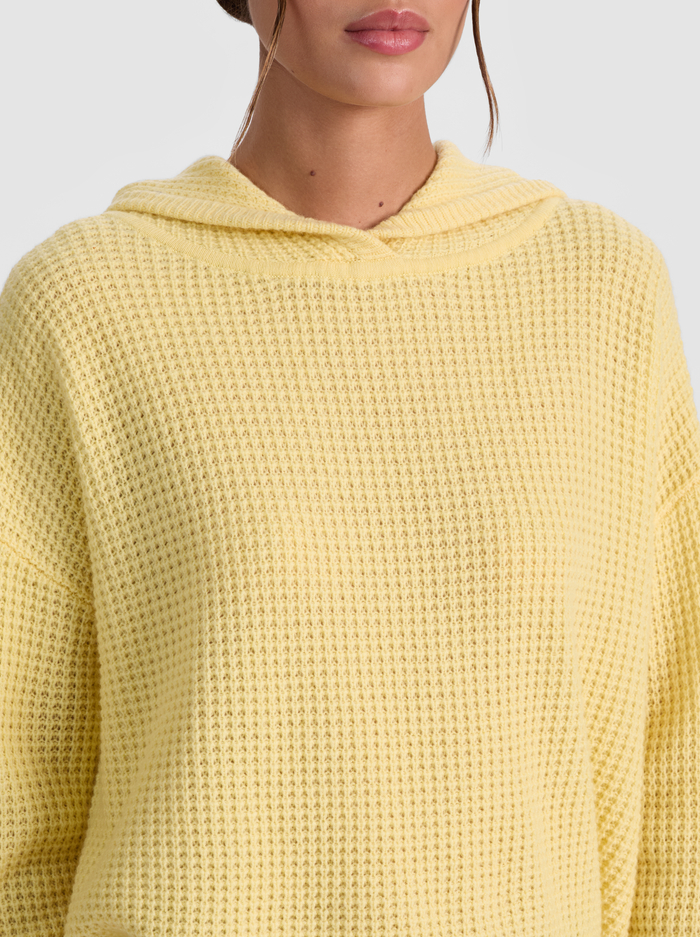 EMMANUELLE CASHMERE HOODIE - BUTTER image 3 - ALICE + OLIVIA