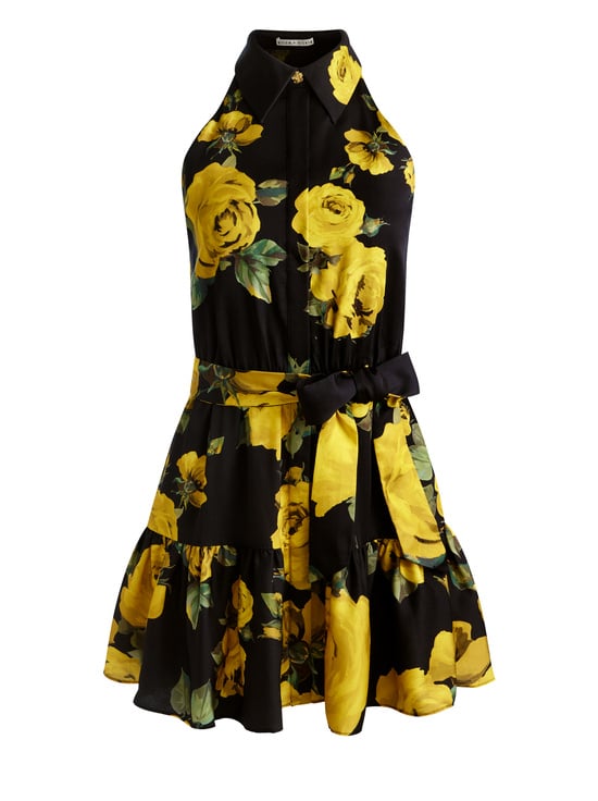 ROSEHIPS-MIRANDA MINI DRESS