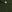  - DARK FERN
