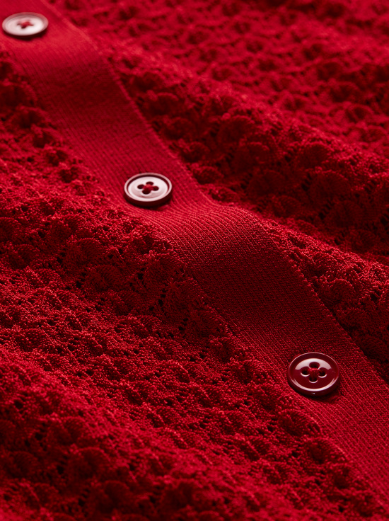 CARSON POINTELLE CARDIGAN